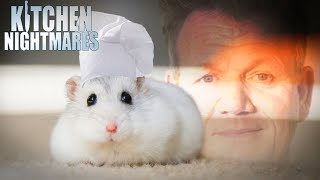 these chefs need a rat under their hat  Kitchen Nightmares [upl. by Vudimir540]