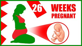 26 Weeks Pregnant – Baby Size and Movement  Pregnancy Symptoms [upl. by Otxis]