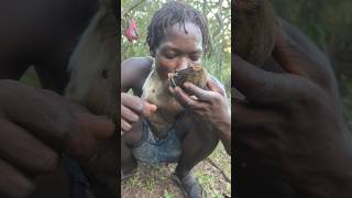 Using baobab fruit cap as a plate for eating hadzatribe shortsvideo [upl. by Kassandra]