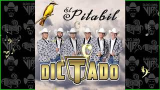 Grupo Dictado  Huapango Pitabil 🎷🤠 2018 [upl. by Aniluap]