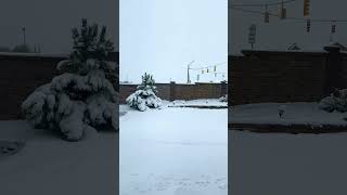 Colorado Snow Storm snow bigsnow blizzards winter love snowday snowstorm loveit colorado [upl. by Noelani]