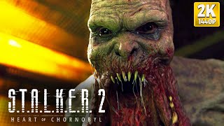 STALKER 2 Heart of Chornobyl  A Primeira Meia Hora PC2K [upl. by Eiralam]