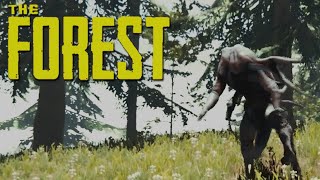 Oberwelt erkunden 🎮 The Forest Multiplayer 18 [upl. by Enenstein]