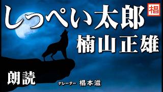 【朗読】『楠山正雄／しっぺい太郎』語り：椙本滋 小説 名作 文学 短編 おすすめ 青空文庫 睡眠導入 聴きながら 寝る前 俳優の朗読 [upl. by Ahsiatal]