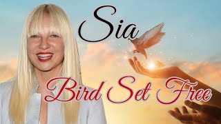 SIA  BIRD SET FREE LYRICS [upl. by Odab]