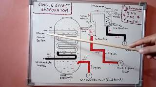 Single Effect Evaporator Working in Hindi [upl. by Cirnek]