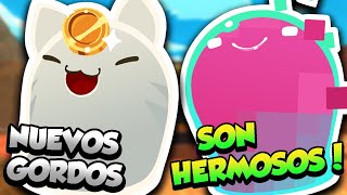 TE VOY A ENSEÑAR 4 NUEVOS SLIMES GORDOS QUE ESTÁN INCREIBLES  Slime Rancher Mod [upl. by Oneida]