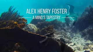 Alex Henry Foster  A Minds Tapestry Official Music Video [upl. by Oruntha]