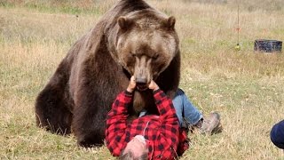 World Record Archery Brown Bear [upl. by Hare]