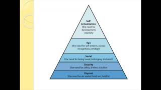 1st lesson nursing foundation notes fo bsc nursing nursingfoundation notes 1 chapter FON NOTES [upl. by Happ]