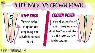 ENDODONTICS  STEP BACK VS CROWN DOWN TECHNIQUE  Biomechanical preparation [upl. by Kcirrek]