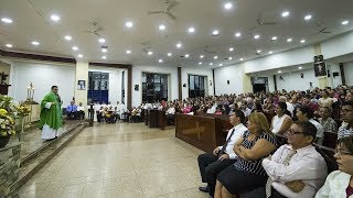 Misa en vivo  Martes 7 de noviembre de 2017  Misa del día de hoy l Padre Neftalí Rogel [upl. by Trinee100]