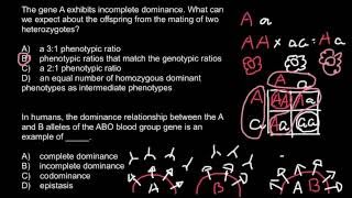 Incomplete dominance [upl. by Eardnoed522]