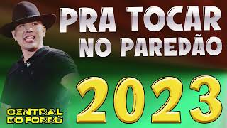 JAPÃOZINHO CD 2023  PRA TOCAR NO PAREDÃO  MÚSICAS NOVAS TOP [upl. by Nnyltiak]