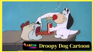 Droopy Dog Cartoon  Full Episodes  By Cartooland cartoon funny [upl. by Ominorej]