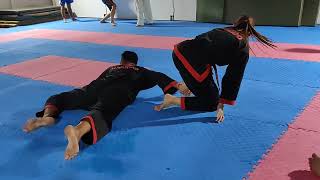 Hapkidos master training basic selfdefense kicks punching45 [upl. by Adiene499]