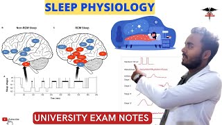 Sleep Physiology REM ampNREM Sleep  Stage of Sleep  CNS Physiology [upl. by Inger850]