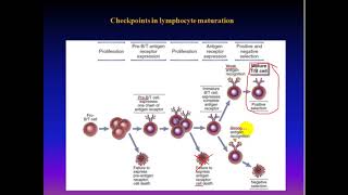 Immune  Receptor Gene Rearrangement amp Recombination مناعة [upl. by Sylado]