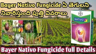 NATIVO FUNGICIDE FULL DETAILS IN TELUGU  Bayer Nativo Dose price in telugu bayer nativo in telugu [upl. by Goran204]