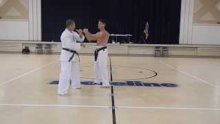 Sanchin Kata Test 三戦鍛え（Sanchin   Sensei Ric Martin amp Master Scott Reed [upl. by Kudva]