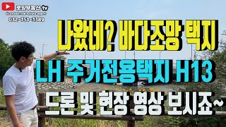 영종도 택지 LH단독주택용 분양영구바다 조망 가능 택지가 나왔네요 일명 H13블럭 신청 추첨 방식 현장 한번 보러 가볼까요 [upl. by Guzel]