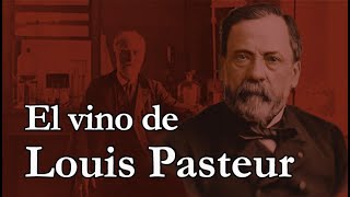 El vino de Louis Pasteur [upl. by Ococ]