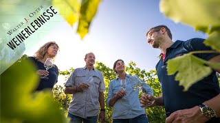 Weinprobe Weinkeller Führungen Weinwanderung  Erlebnis amp Urlaub im Weingut Walter J Oster Mosel [upl. by Alemrac892]