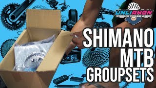 Shimano MTB Groupsets Price amp Hierarchy [upl. by Stiegler]