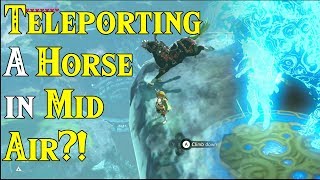 TELEPORTING a Horse in Mid Air Mety the Horse in Zelda Breath of the WIld [upl. by Ailegra]