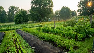 Regenerative Agriculture on a Small Scale  What it Looks Like [upl. by Nylirrej]