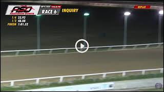 AMERICANAS EN VIVO  HIPISMO BETS [upl. by Gabriele684]