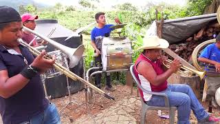 🔴CORRIDOS FAMOSOS CON BANDA DE VIENTO💥 BANDA Z DE ZOTICO GALINDO ✔️ PURO GUERRERO PARIENTE💯 [upl. by Tenaj]