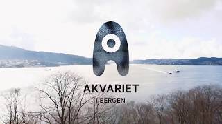 Akvariet i Bergen [upl. by Holihs]