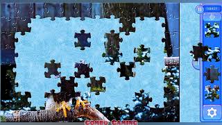 puzzle 1531 gameplay  hd wildlife USA Eagle birds jigsaw puzzle  combogaming335 [upl. by Thecla287]