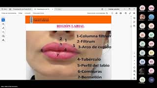 HISTOLOGIA l APARATO DIGESTIVO I Cavidad bucal [upl. by Jerrilyn]