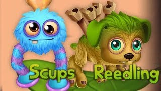 New ADORABLE BABY SCUPS amp REEDLING  My Singing Monsters DoF [upl. by Doner622]