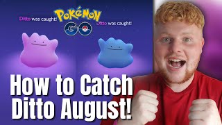 How to CATCH Ditto in August 2023 FULL Ditto disguises Pokémon Go [upl. by Eesak879]