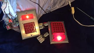 Simplex 405080 vs ExideCouch F450D Stainless Steel Fire Alarm Horn Lights Test [upl. by Nivrag]