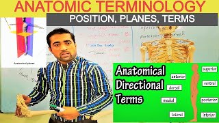 Anatomic Terminology Anatomical Position Anatomical Planes And Directional Terms By Dr Shahid Alam [upl. by Htebazie]