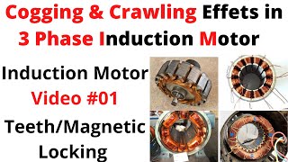 Cogging and Crawling effects in a 3 phase Induction Motor in UrduHindi [upl. by Nai84]