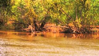 Un paseo por el Rio Grijalva Villahermosa Tabasco México [upl. by Ardnaskela926]