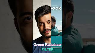 Green Book Poster Filter [upl. by Elleinod]