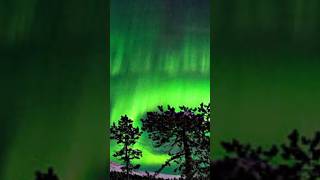 Severe Solar storm news 2024 big news [upl. by Yeneffit128]