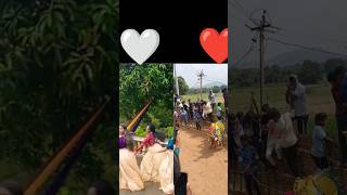 Comment your favourite ❤️🤍jallikattu trending viralvideo [upl. by Ynohtona32]