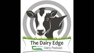 Let’s Talk Dairy Breeding beef from the dairy herd [upl. by Mag]