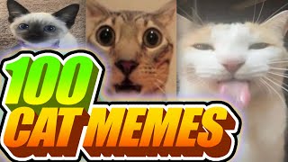 I Voiceovered 100 Cat Memes [upl. by Thaddaus]