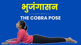 Bhujangasana Kaise Kare How to Bhujangasana Step by Step Correctly for Beginners [upl. by Yaral]