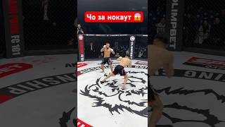 Зрелищный нокаут 😱 mma боец ufc бой мма бокс boxing нокаут sports юфс anime shorts [upl. by Sherlocke143]