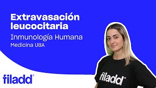 Extravasación leucocitaria  Inmunología  Medicina UBA [upl. by Oderfodog407]