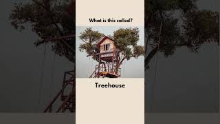 Types of Houses Vocab 4 [upl. by Aufmann]